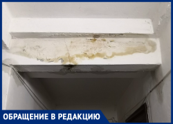 Несмотря на предписание прокуратуры, ЖКХ бездействует, - морозовчанка о плесени в многоквартирном доме