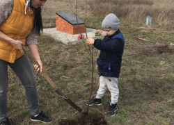 Акция «Дерево памяти» к 75-летию Победы в Великой Отечественной войне прошла в хуторе Грузинов