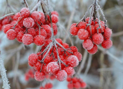 Облачно и до -3: погода в Морозовске не меняется