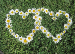 Семью Слесаревых из Морозовского района наградят знаком губернатора «Во благо семьи и общества» 