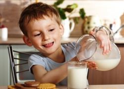 Вопрос-ответ: Почему начальным классам перестали давать молоко?