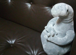 «Ждун» знает толк в мебели   