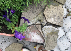 Не из чего строить? Посмотри в Справочнике