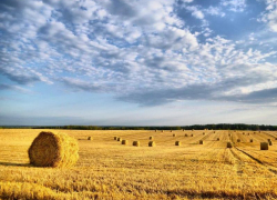 Облачность и +23 градуса тепла обещают морозовчанам днем, в воскресенье