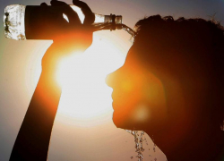 +37 в тени: август в Морозовске начнется с сильной жары