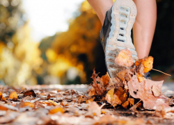 До 18 градусов тепла обещают морозовчанам на выходных