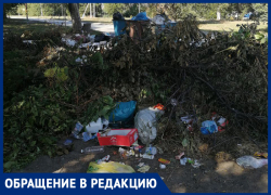 "Всё это будет плавать и квакать!" - морозовчанка попросила коммунальные службы чаще убирать мусор на улице Руднева возле баков