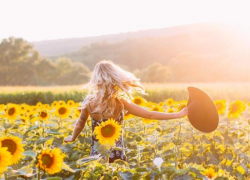 Солнечная погода без осадков ожидается в Морозовске 23 августа