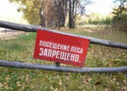 Режим ограничения пребывания граждан в лесах Ростовской области продлили до 10 сентября