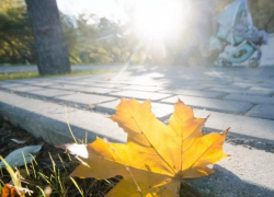 +24 градуса и без осадков: комфортные погодные условия обещают морозовчанам в четверг