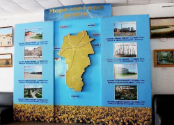 Художник предложил перенести день Морозовского района на июнь