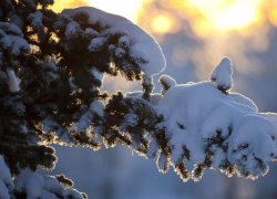 Конец рабочей недели в Морозовске окажется ветреным и холодным