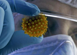 19 августа: за сутки новых случаев COVID-19 в Морозовске не выявлено