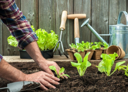 Не готовы к сезону посадки огородов? Зоходите в Справочник