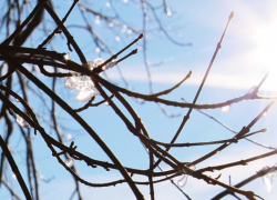 Небольшое потепление ожидается в Морозовске на выходных