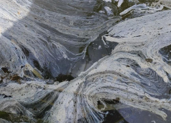 Минприроды Ростовской области пообещало прислать в Морозовск специалиста для обследования реки Быстрой