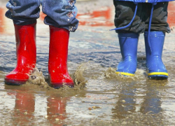 До +5 градусов тепла обещают морозовчанам в пятницу