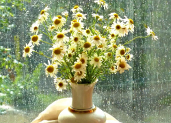 Небольшой дождь обещают морозовчанам в пятницу 20 августа, возможна гроза