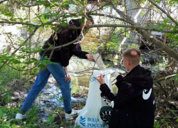 В рамках всероссийской акции «Вода России» в Морозовске от мусора очистили 250 метров береговой линии