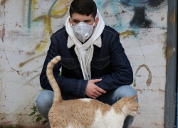 13 апреля: коронавируса в Морозовске нет