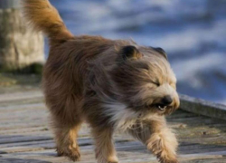 До 18 градусов тепла и сильный ветер ожидаются в Морозовске в воскресенье, 29 марта