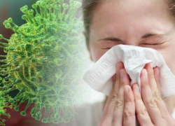 6 августа: еще 4 случая COVID-19 выявили за сутки в Морозовском районе