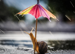 Небольшой дождь и до 28 градусов тепла прогнозируют морозовчанам в пятницу, 23 июля