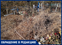 Ужас творится на Южном кладбище! - морозовчанка