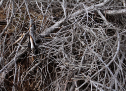 Морозовчан попросили выносить крупногабаритные отходы накануне приезда специализированной техники