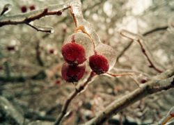 Небольшой дождь и до +1 градуса тепла ожидается в Морозовске 14 января