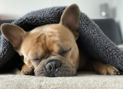 Тепло, потом холодно, потом опять тепло, - погода в Морозовске будет резко меняться