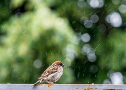 Во вторник в Морозовске сильно похолодает