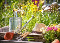 Садоводство и огородничество: об изменениях сообщили в прокуратуре Морозовского района