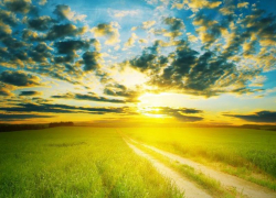 Переменную облачность и всего +25 градусов тепла обещают синоптики в четверг, 13 августа