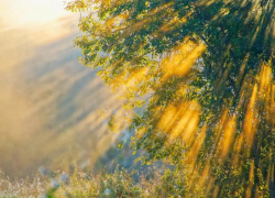 Без дождя: воскресенье в Морозовске будет теплым и солнечным 