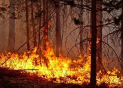 Два дня чрезвычайной пожароопасности предстоит пережить Морозовскому району
