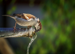 В понедельник в Морозовске будет до +8