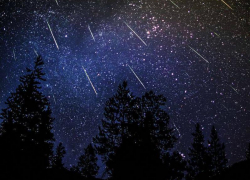 Самый яркий метеорный поток года: пик звездопада Персеиды пройдет в ночь с 12 на 13 августа