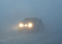 Почувствуй себя ёжиком в тумане: большую часть недели видимость в Морозовске будет ограничена
