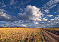 Переменная облачность и до +26 градусов тепла ожидается в Морозовске 18 сентября