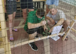 Дети в хуторе Грузинов присоединились к плетению маскировочных сетей для участников СВО