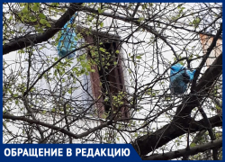 Мусор регулярно вылетает из окон многоквартирного дома в "Тексере"