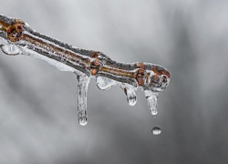 Конец рабочей недели в Морозовске будет пасмурным, но без осадков