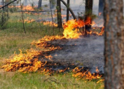 Чрезвычайная пожароопасность ожидается в Морозовском районе 23 и 24 августа