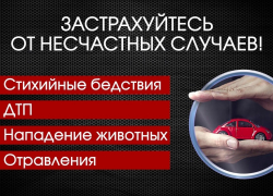 Нужна страховка? Заходи в Справочник