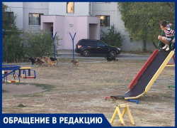 Страшно выпускать детей на улицу, - морозовчанин