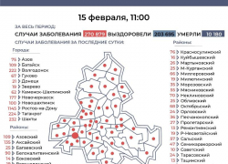 15 февраля: число заболевших коронавирусом в Морозовском районе увеличилось на 35 человек