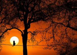 Всего +4 будет во вторник днем в Морозовске