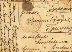 Текст 100-летней не дошедшей до адресата открытки на немецком языке перевели в Морозовске