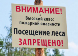 Запрет на посещение донских лесов продлили до 12 октября
